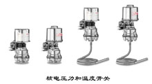 ASCO 核工業(yè)、核電廠壓力和溫度開關(guān)